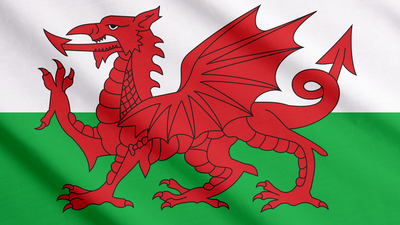 National Care Service Implementation Plan - Wales